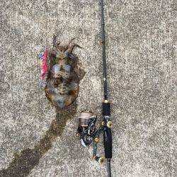 エギング&ワインド