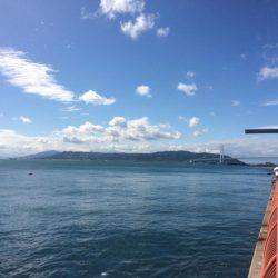 シラサカゴ万歳