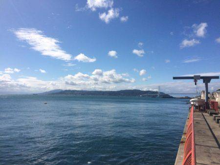 シラサカゴ万歳