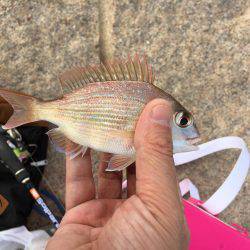 久々のエサ釣り