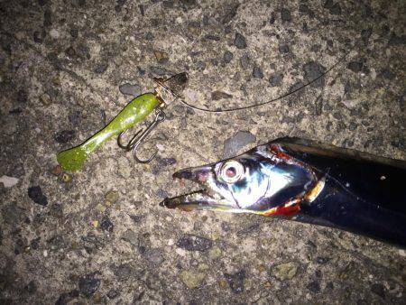 渋い日が続きますが頑張ってます