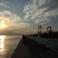 ドラゴンまではいきませんでしたが