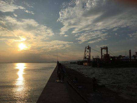 ドラゴンまではいきませんでしたが