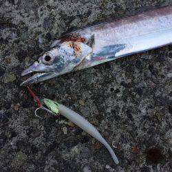 活性が低いですね〜