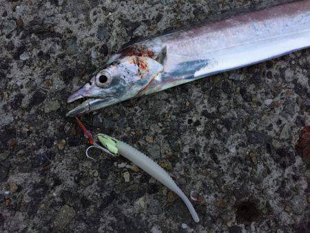 活性が低いですね〜