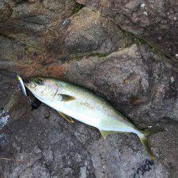 磯トップゲーム