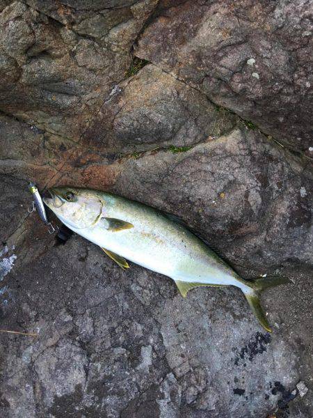 磯トップゲーム