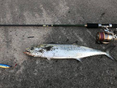 ショアジギング