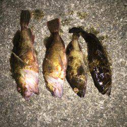 大潮?潮が動かない?