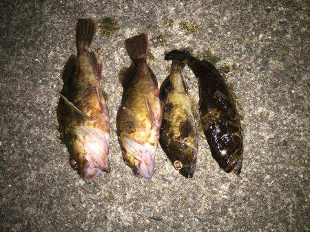 大潮?潮が動かない?