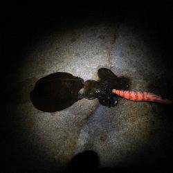 アベレージが良い