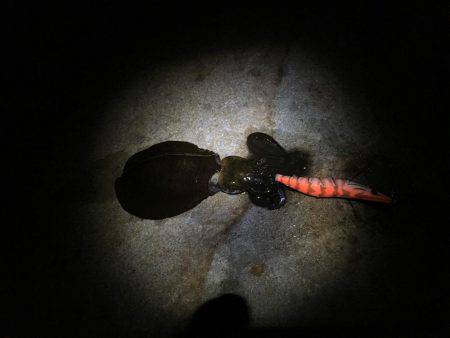 アベレージが良い