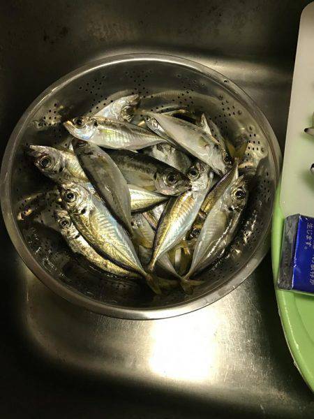 なかなかの大きさ