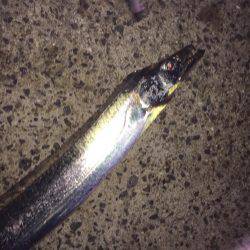 ライトライトライト