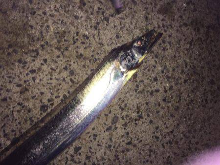 ライトライトライト