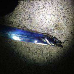 ライトライトライト