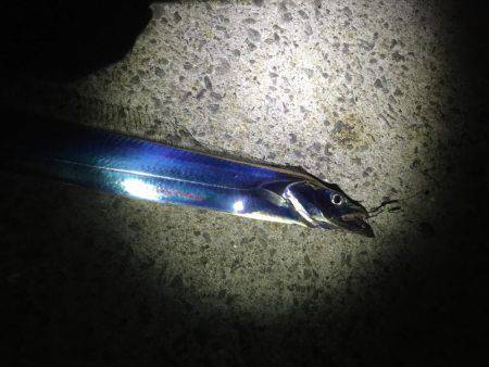 ライトライトライト