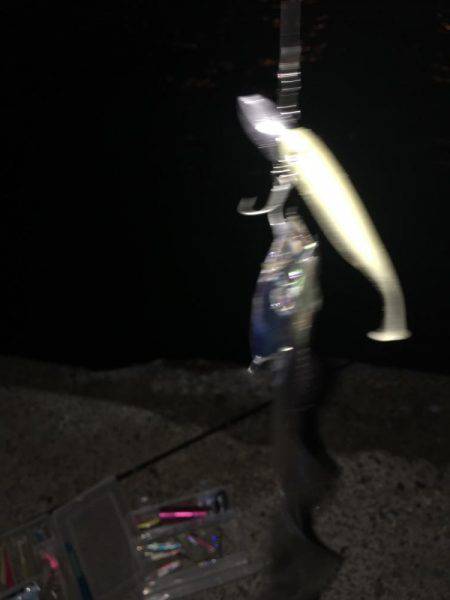 短時間釣行（≧∇≦）