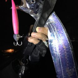 太刀魚パトロール！