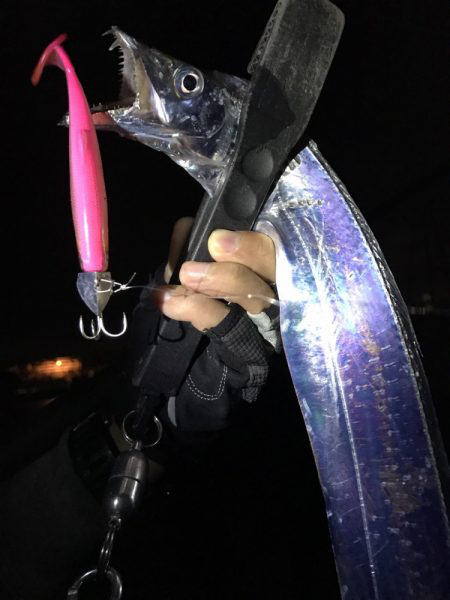 太刀魚パトロール！