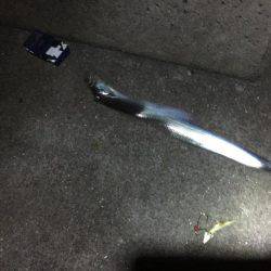 ようやく姫路でタチウオゲット！！