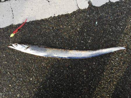 朝にちょっとだけ！