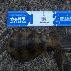 良い感じの月明かり