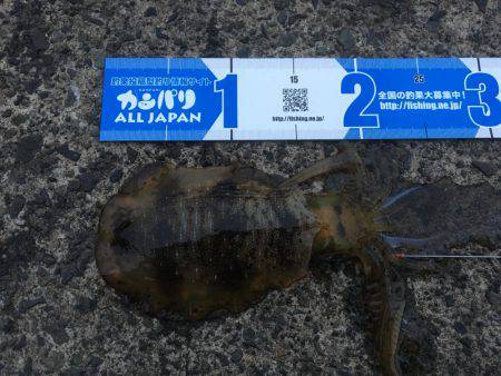 良い感じの月明かり