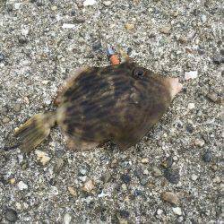 下津周辺を散策に！