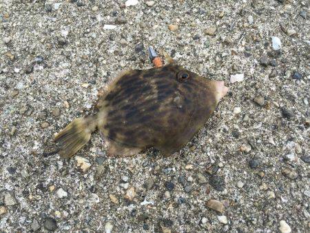 下津周辺を散策に！