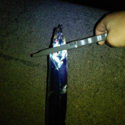 なんとか太刀魚捕獲