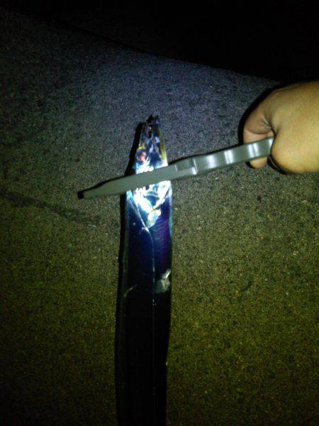 なんとか太刀魚捕獲