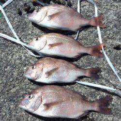 投げつりでﾁｬﾘｺ