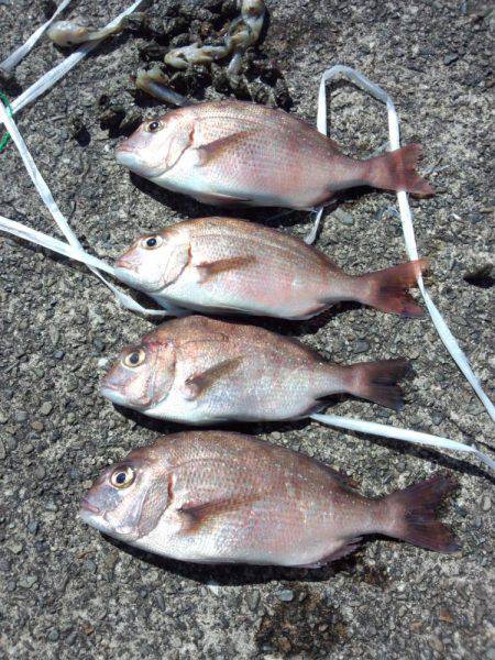 投げつりでﾁｬﾘｺ