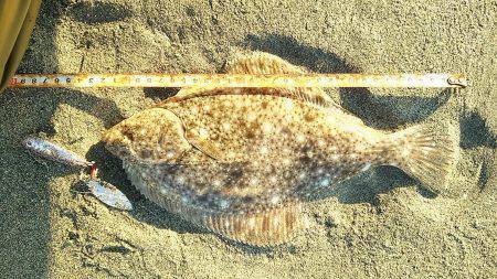 スピンテールでカレイ