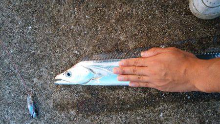 青岸ドラゴン届かず…