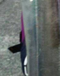 サゴシはどこにいった？