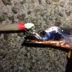 今日はついてないや