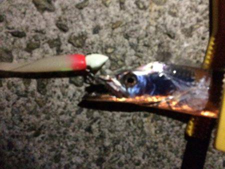 今日はついてないや