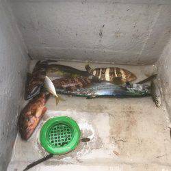 メバルっち遠征