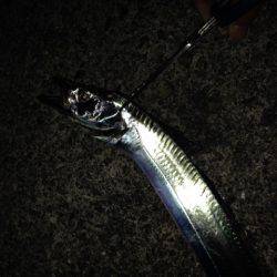 本命はさて置き!!!