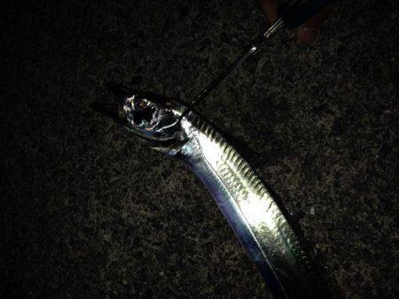 本命はさて置き!!!