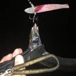 楽しめました(^^)