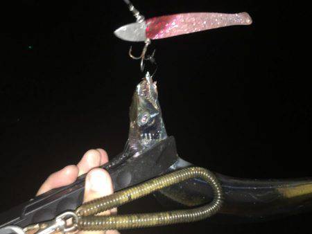 楽しめました(^^)