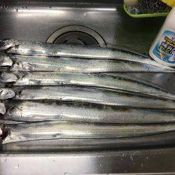 仕事終わりにタチウオ