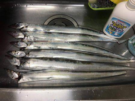 仕事終わりにタチウオ