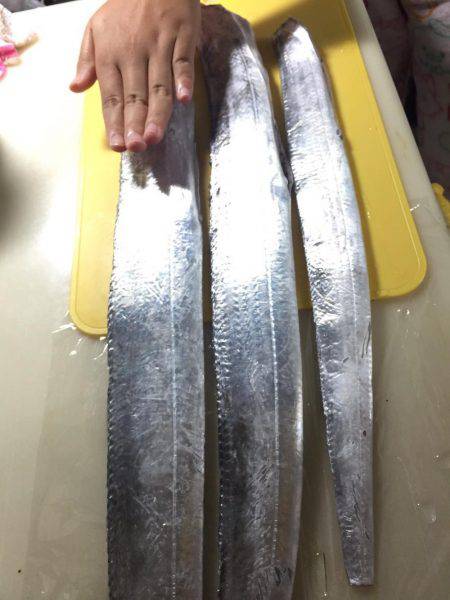 爆風短時間タチウオ