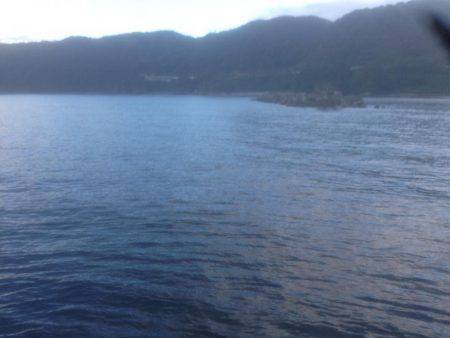 気持ちい風の中