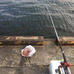 強風の中タチウオ釣りに