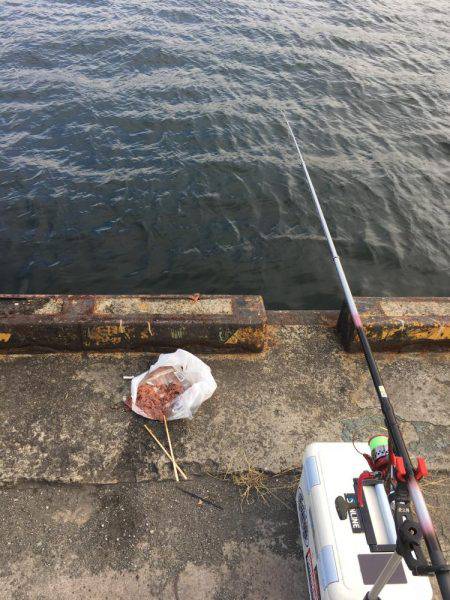 強風の中タチウオ釣りに